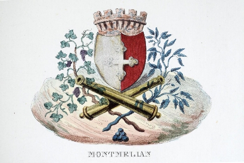 Armoiries de la ville de Montmélian